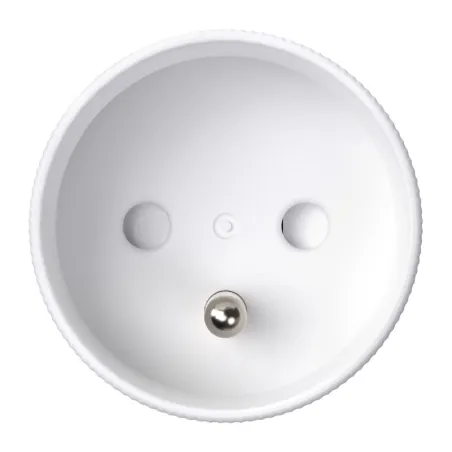 Avatto OT60-FR Smart Socket
